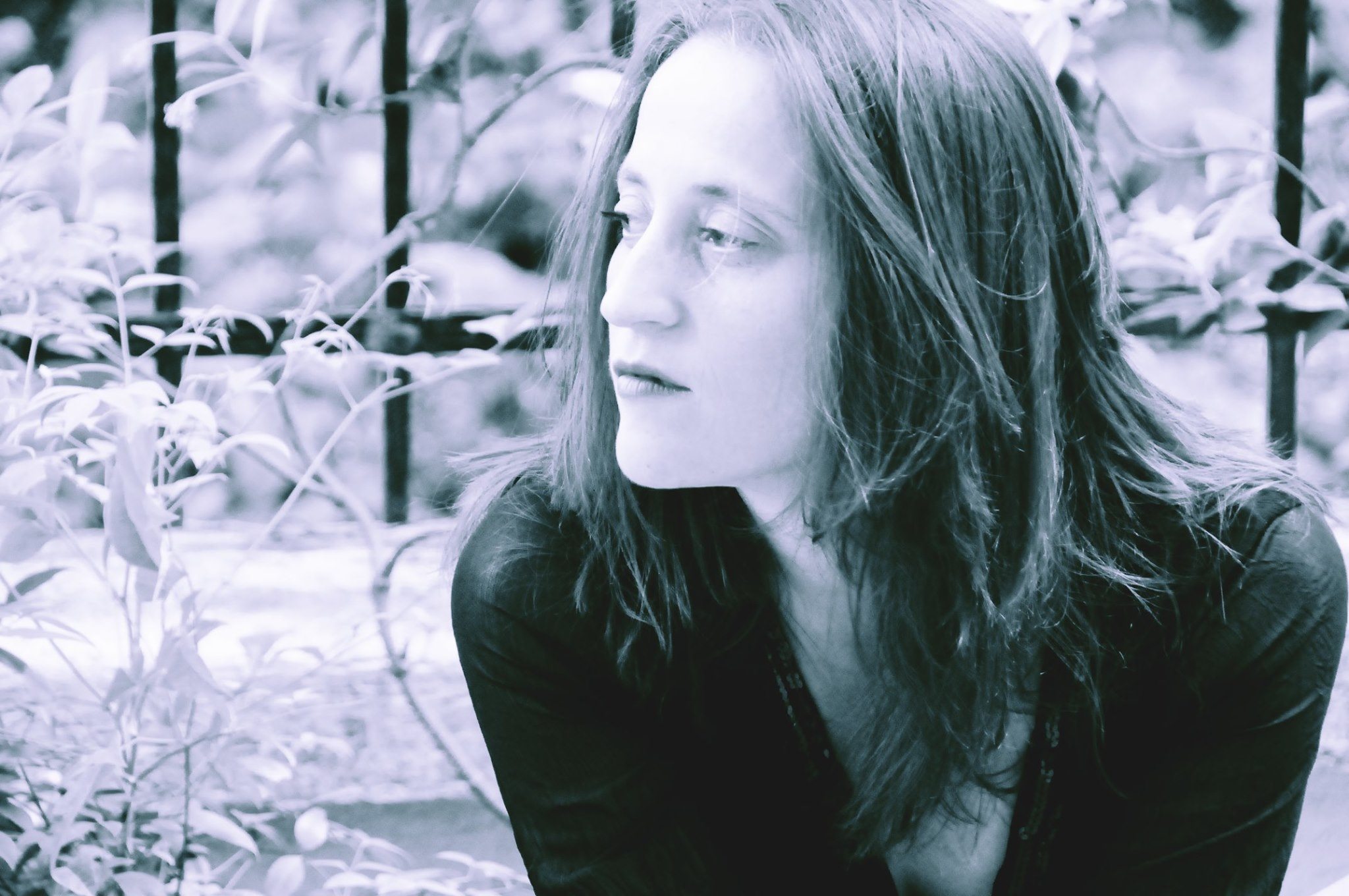 Kush, Luli do të vijë?!- Po, Luli do të vijë!