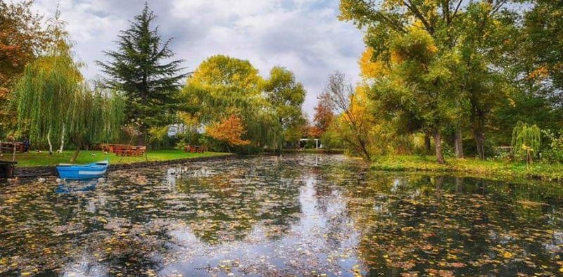 “Mesditë lakuriqe” ✍️— poezi nga Rovena Dokollari