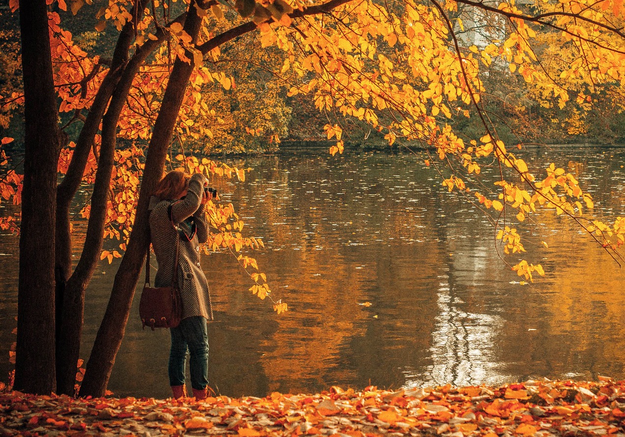 Vjeshtë ✍️– Poezi nga Rovena Dokollari