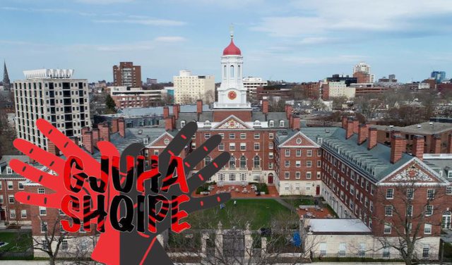 Gjuha shqipe për herë të parë futet si lëndë me zgjedhje në Universitetin e Harvardit