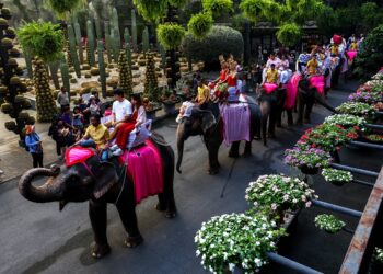 Parada e dashurisë, të hipur mbi elefantë çiftet tajlandeze celebrojnë martesën për Shën Valentin