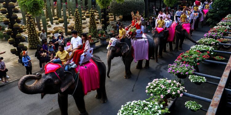 Parada e dashurisë, të hipur mbi elefantë çiftet tajlandeze celebrojnë martesën për Shën Valentin