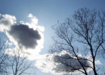 Parashikimi i motit, 22 shkurt 2024