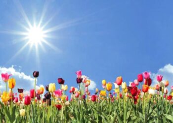 Sot ditë me diell, temperaturat rriten