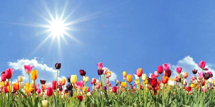 Sot ditë me diell, temperaturat rriten