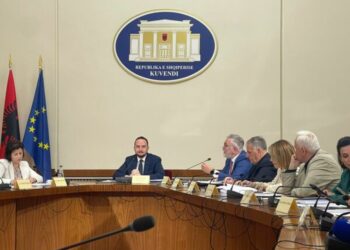 Debate në Komisionin për sistemin TIMS/ Gogu-Salianjit: Mbase ëndrra juaj në sirtar është të bëheni gjyqtar i Berishës, por jo misioni ynë!