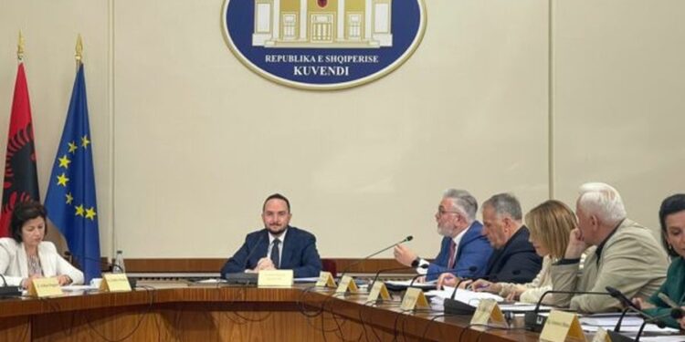 Debate në Komisionin për sistemin TIMS/ Gogu-Salianjit: Mbase ëndrra juaj në sirtar është të bëheni gjyqtar i Berishës, por jo misioni ynë!