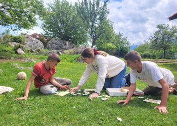 Zemra e nënës punon vetëm për të mirën e fëmijëve të saj. Një ditë nga shërbimi lëvizës i Kia Green Light Project