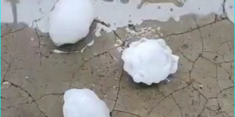 Breshëri sa një top tenisi, shkatërrohen të mbjellat në Elbasan!