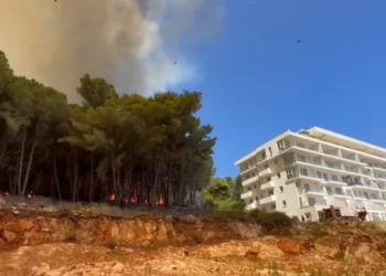 SITUATË ALARMANTE/ Flakët arrijnë shumë pranë apartamenteve në Shëngjin, në zonë dëgjohen shpërthime