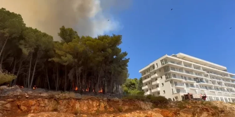 SITUATË ALARMANTE/ Flakët arrijnë shumë pranë apartamenteve në Shëngjin, në zonë dëgjohen shpërthime