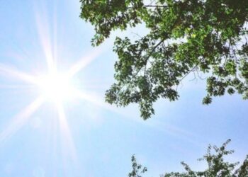 Parashikimi i motit, 28 Korrik 2024