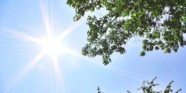 Parashikimi i motit, 28 Korrik 2024