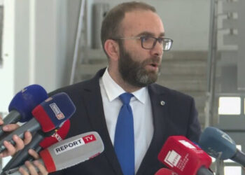 Bardhi në Divjakë: Kemi vit sakrifice përpara, projekt fitues