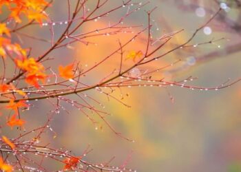 MOTI i paqëndrueshëm, reshje shiu në disa zona, sa shkojnë temperaturat?