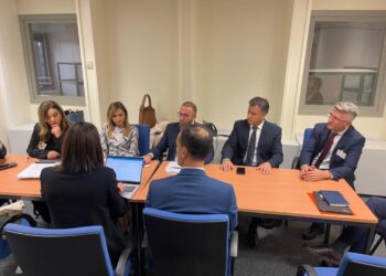 “Grupi Parlamentar i PD në Parlamentin Europian”/Takimi me Sekretarin e Përgjithshëm të grupit “Renew Europe”: Edi Rama ka vënë në pikëpyetje serioze demokracinë në Shqipëri