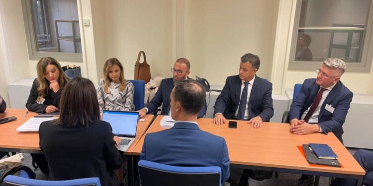 “Grupi Parlamentar i PD në Parlamentin Europian”/Takimi me Sekretarin e Përgjithshëm të grupit “Renew Europe”: Edi Rama ka vënë në pikëpyetje serioze demokracinë në Shqipëri