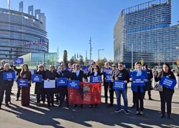 Deputetët demokratë manifestim dhe takime në PE: Rama ka kapur çdo pushtet dhe po arreston kundërshtarët politikë. Zgjedhjet menaxhohen nga krimi i organizuar