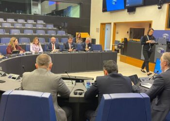 “Grupi Parlamentar i PD vijon takimet në Parlamentin Europian”/Takim me grupin parlamentar ECR