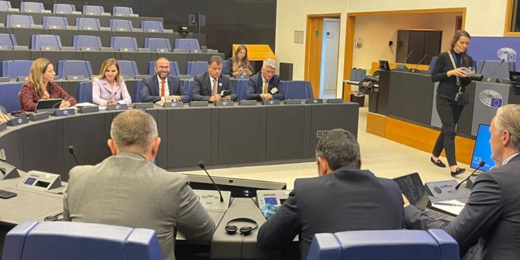“Grupi Parlamentar i PD vijon takimet në Parlamentin Europian”/Takim me grupin parlamentar ECR