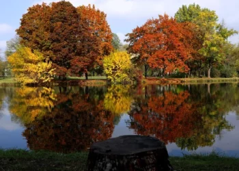 Nëntori nis me MOT të ngrohtë dhe me diell, ja sa shkojnë temperaturat sot