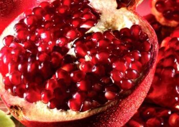 Shega dhurata e Zotave dhe fruti magjik i mbarësisë, pjellorisë, dashurisë, shëndetit dhe jetëgjatësisë