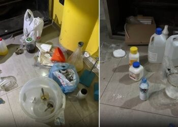 Laboratori i kokainës në Qerekë, çfarë zbuluan përgjimet/ Ngarkesa e parë mbërriti në shtator, ja pse nuk u ndërhy