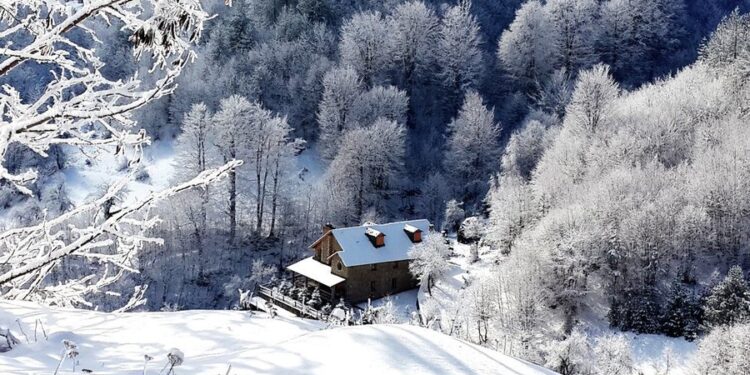 Reshjet e dëborës zbardhin vendin nga veriu në juglindje, problematika në disa akse rrugore