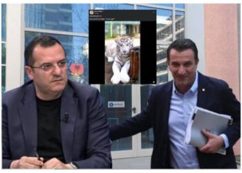 Tigri i Erionit, mesazh për kopshtin zoologjik të Ramës