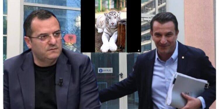 Tigri i Erionit, mesazh për kopshtin zoologjik të Ramës