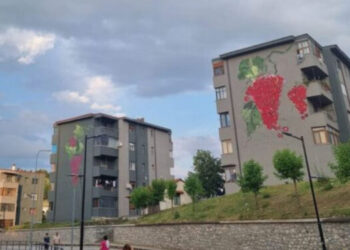 Shqipëria ka marr fund/ Rënia e lindjeve në jug, njësitë administrative pa fëmijë