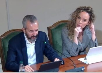 “Me kamera dhe ekspertë”, Celibashi tregon si do monitorohet procesi i votës së diasporës