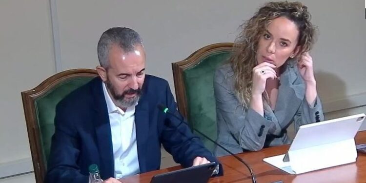 “Me kamera dhe ekspertë”, Celibashi tregon si do monitorohet procesi i votës së diasporës