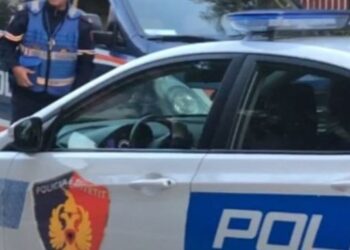“Ka mbyllur derën dhe nuk pranon ta hap!” Forcat RENEA rrethuan pallatin në Tiranë, Policia: Një qytetare pretendon se është dhunuar nga disa persona