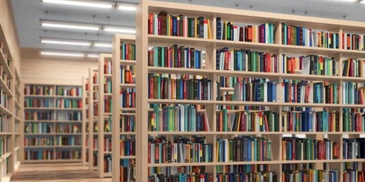 A jeni gati t’i zbuloni? Këta janë disa nga librat më të mirë të 2024-ës