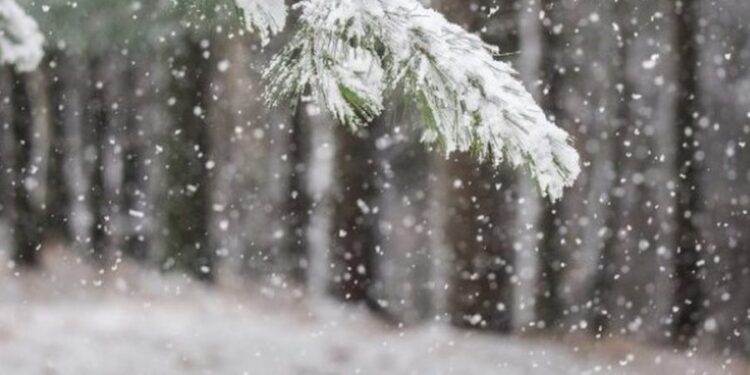 Moti i acartë në Shqipëri, meteorologia tregon nëse do të ketë reshje dëbore në kryeqytet