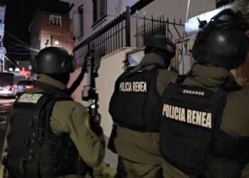 Emrat/ Aksioni i RENEA-s në Pogradec, policia: U arrestuan 6 persona dhe u kryen kontrolle në 28 banesa!