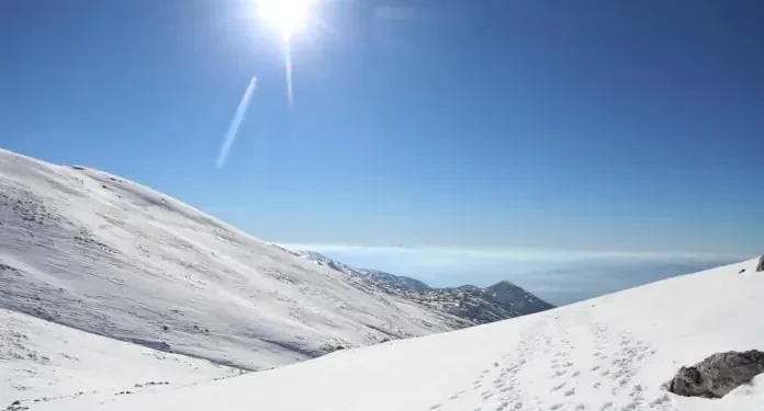 Parashikimi i motit për ditën e sotme