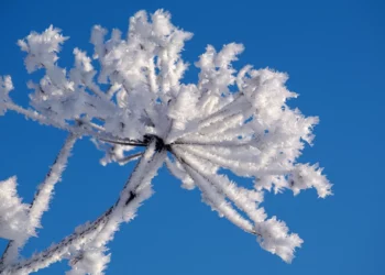 Rikthehet i ftohti! Temperatura deri në -9 gradë javën që vjen