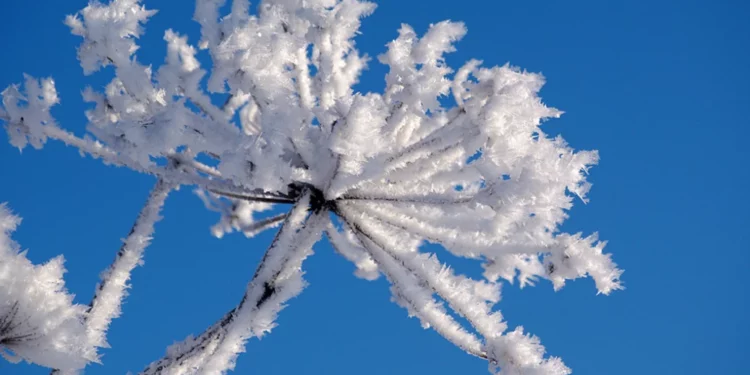 Rikthehet i ftohti! Temperatura deri në -9 gradë javën që vjen