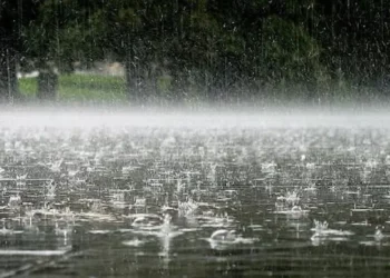 Reshje shiu dhe shtrëngata në të gjithë vendin