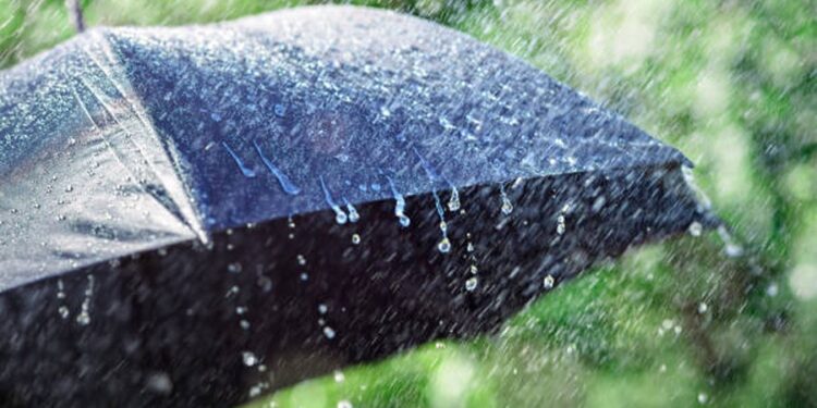 Si pritet të jetë moti gjatë ditës