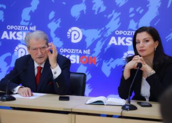 Berisha: Çdo kandidat, çdo aktivist i PD të merret me shpjegimin e programit ekonomik tonin. Nuk do merremi me zhapinjtë e kundërshtarit