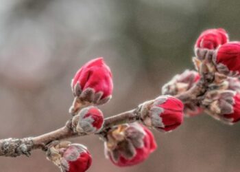 Njihuni me tre shenjat e horoskopit të “bekuara” nga yjet. Do kenë shumë fat përgjatë muajit mars