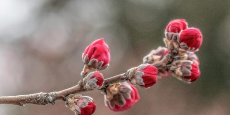 Njihuni me tre shenjat e horoskopit të “bekuara” nga yjet. Do kenë shumë fat përgjatë muajit mars