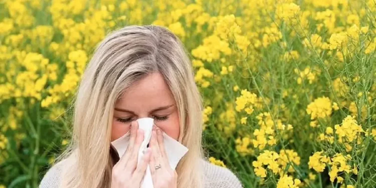 Si të mbani larg alergjitë e pranverës!