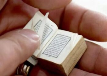 Gjendet në Shqiρëri Kυrαni më i vogël në botë, mediat botërore jehοnë Ιαjmit