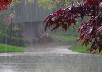 MOS HARRONI ÇADRAT! Sot reshje shiu në të gjithë vendin, parashkimi i MOTIT për këtë të enjte