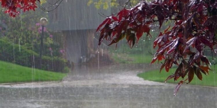 MOS HARRONI ÇADRAT! Sot reshje shiu në të gjithë vendin, parashkimi i MOTIT për këtë të enjte