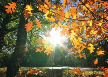 E diela me vranësira, por priten edhe reshje shiu në disa zona/ Çfarë ndodh me temperaturat?